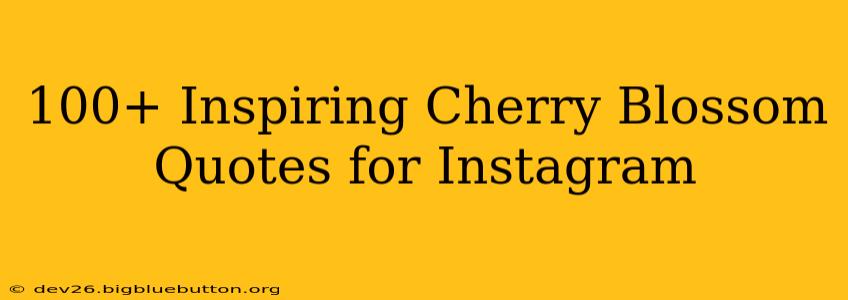100+ Inspiring Cherry Blossom Quotes for Instagram