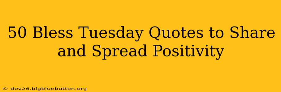 50 Bless Tuesday Quotes to Share and Spread Positivity
