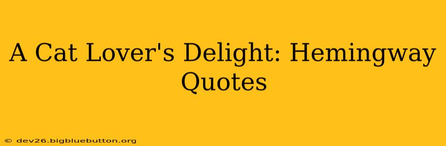 A Cat Lover's Delight: Hemingway Quotes