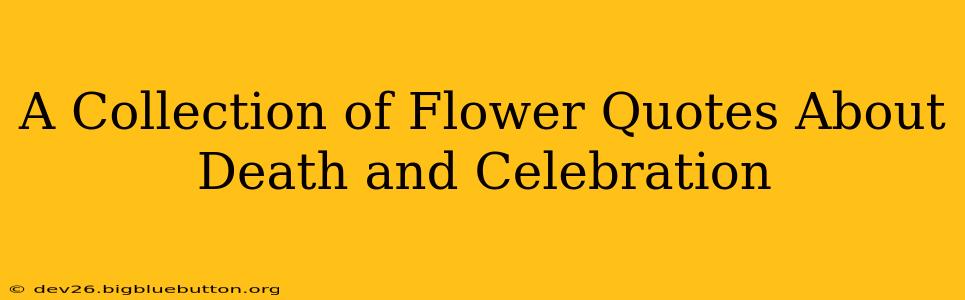 A Collection of Flower Quotes About Death and Celebration