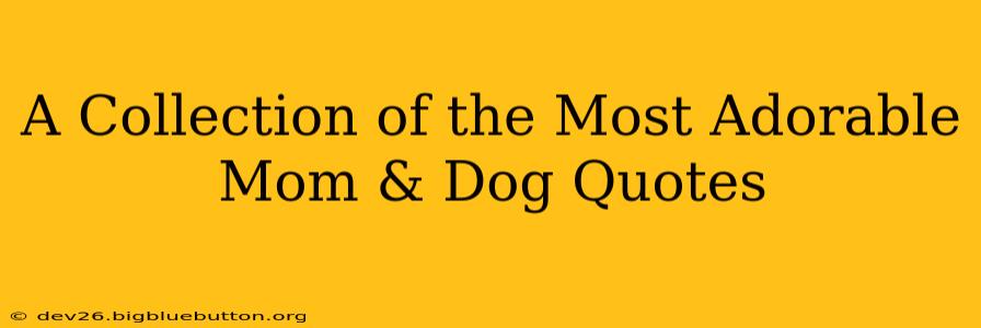 A Collection of the Most Adorable Mom & Dog Quotes