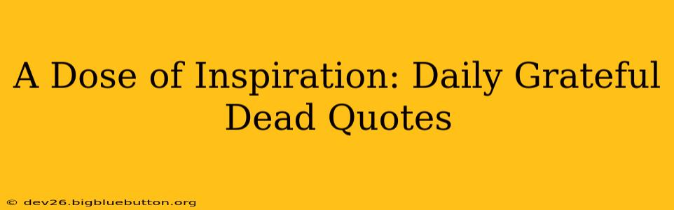 A Dose of Inspiration: Daily Grateful Dead Quotes