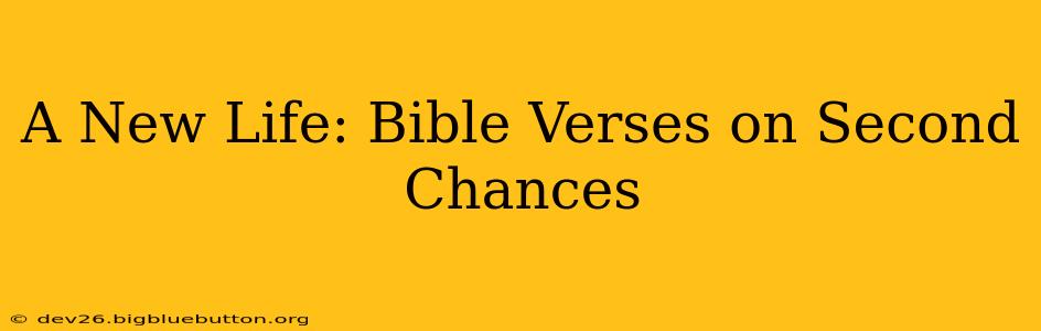 A New Life: Bible Verses on Second Chances