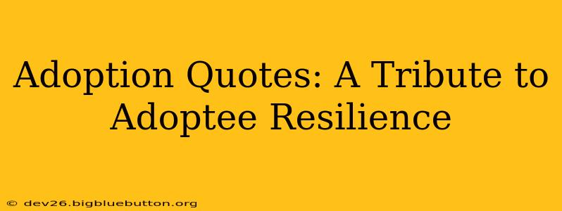 Adoption Quotes: A Tribute to Adoptee Resilience