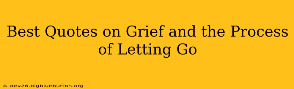 Best Quotes on Grief and the Process of Letting Go