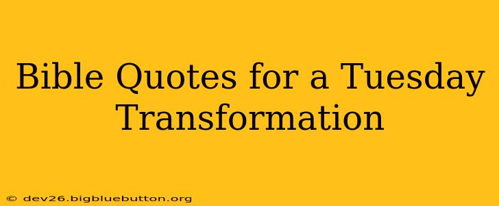 Bible Quotes for a Tuesday Transformation