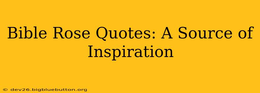 Bible Rose Quotes: A Source of Inspiration
