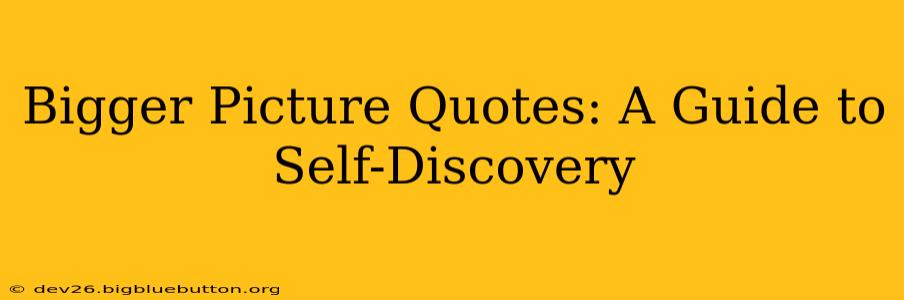 Bigger Picture Quotes: A Guide to Self-Discovery