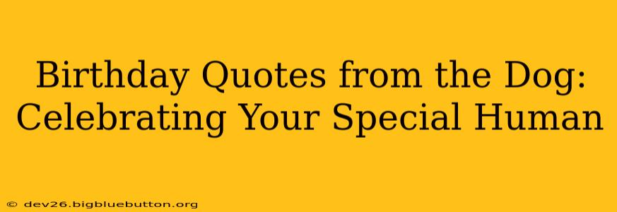 Birthday Quotes from the Dog: Celebrating Your Special Human