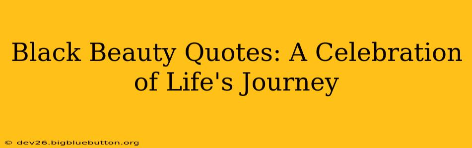 Black Beauty Quotes: A Celebration of Life's Journey