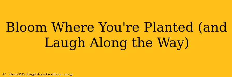 Bloom Where You're Planted (and Laugh Along the Way)