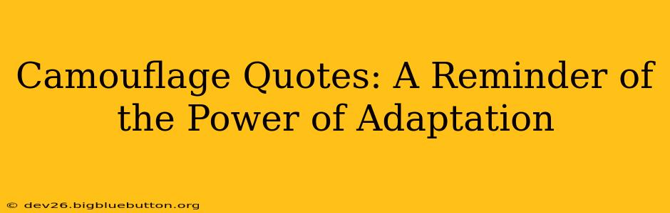 Camouflage Quotes: A Reminder of the Power of Adaptation