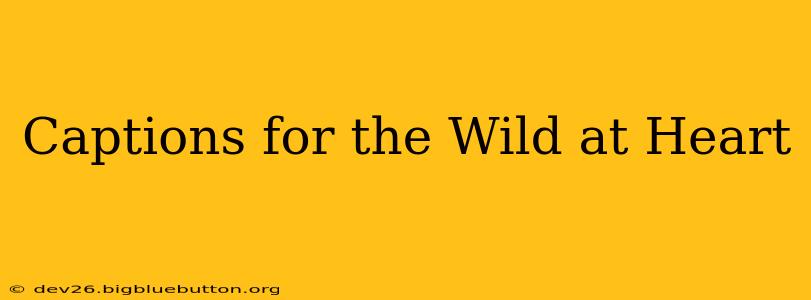 Captions for the Wild at Heart