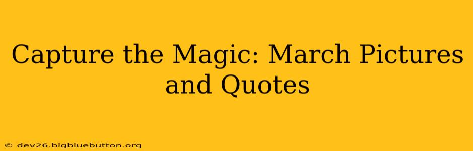 Capture the Magic: March Pictures and Quotes