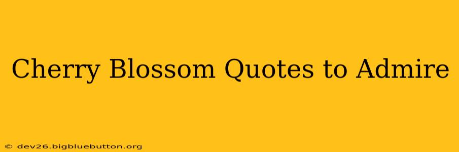 Cherry Blossom Quotes to Admire