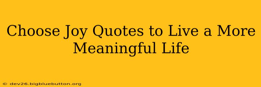 Choose Joy Quotes to Live a More Meaningful Life
