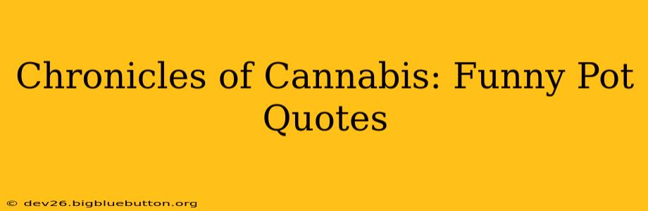 Chronicles of Cannabis: Funny Pot Quotes