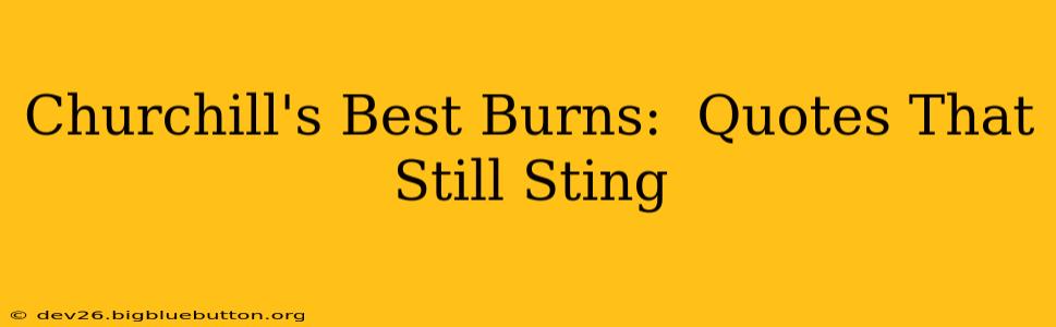 Churchill's Best Burns:  Quotes That Still Sting