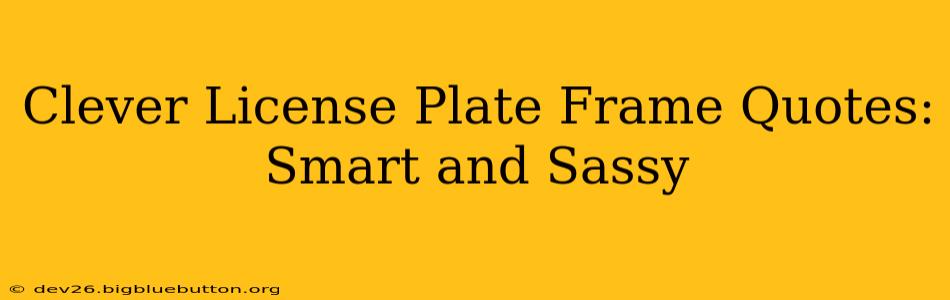 Clever License Plate Frame Quotes:  Smart and Sassy