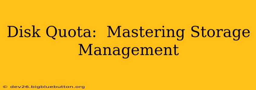 Disk Quota:  Mastering Storage Management