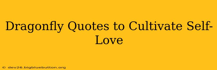 Dragonfly Quotes to Cultivate Self-Love