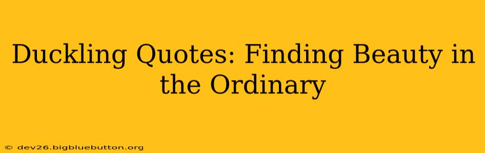 Duckling Quotes: Finding Beauty in the Ordinary