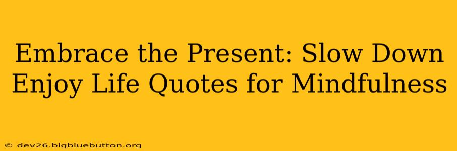Embrace the Present: Slow Down Enjoy Life Quotes for Mindfulness