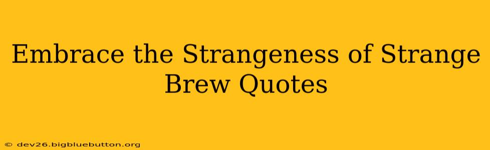 Embrace the Strangeness of Strange Brew Quotes