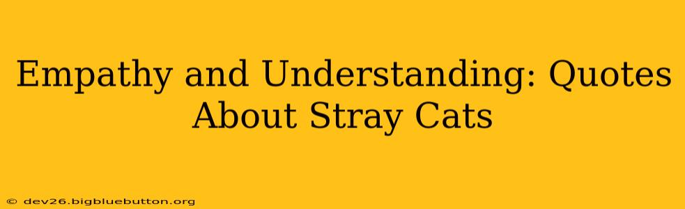 Empathy and Understanding: Quotes About Stray Cats