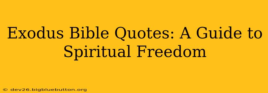 Exodus Bible Quotes: A Guide to Spiritual Freedom