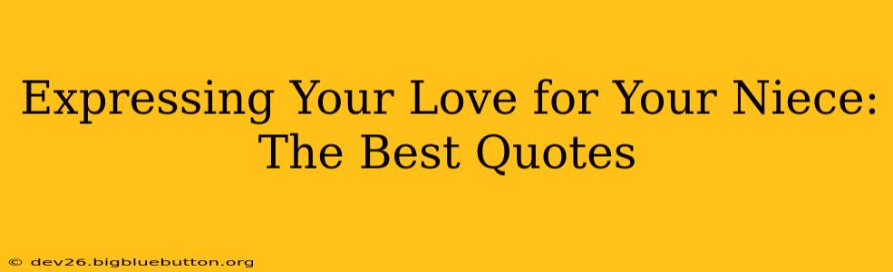 Expressing Your Love for Your Niece: The Best Quotes