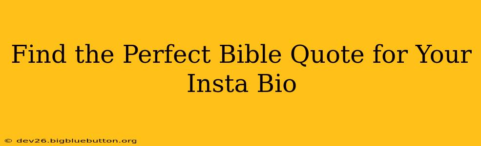 Find the Perfect Bible Quote for Your Insta Bio