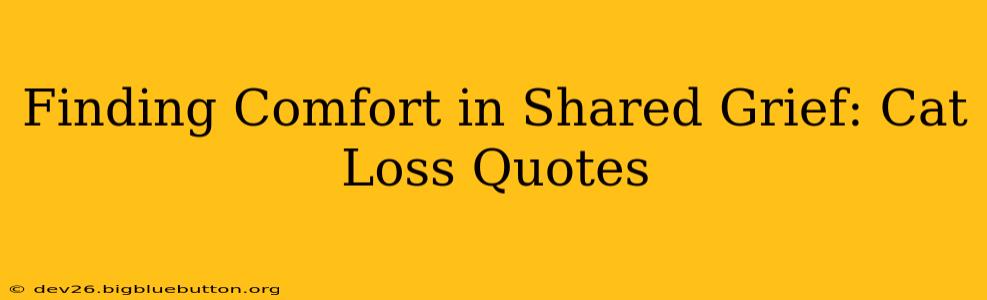Finding Comfort in Shared Grief: Cat Loss Quotes