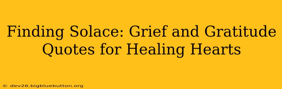 Finding Solace: Grief and Gratitude Quotes for Healing Hearts