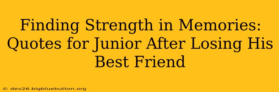 Finding Strength in Memories: Quotes for Junior After Losing His Best Friend