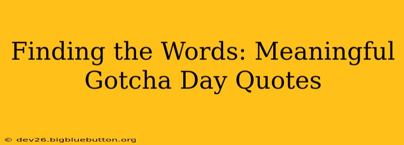 Finding the Words: Meaningful Gotcha Day Quotes
