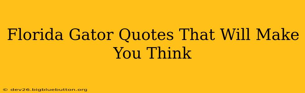 Florida Gator Quotes That Will Make You Think