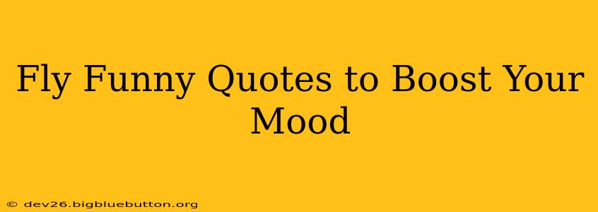 Fly Funny Quotes to Boost Your Mood