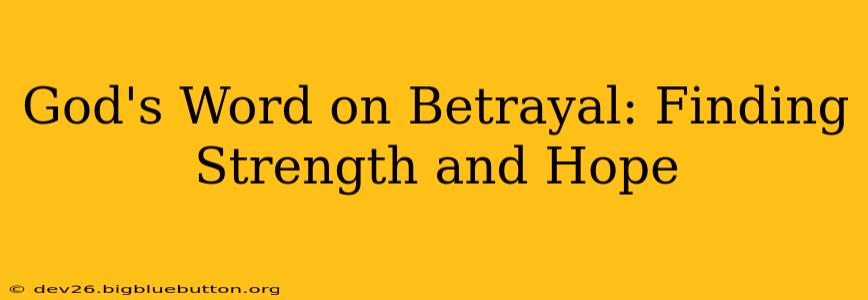 God's Word on Betrayal: Finding Strength and Hope