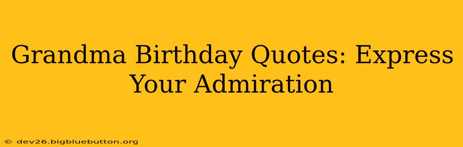 Grandma Birthday Quotes: Express Your Admiration