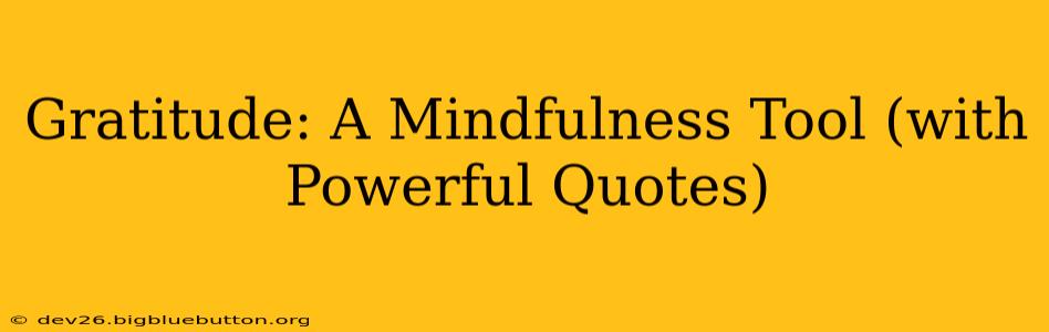 Gratitude: A Mindfulness Tool (with Powerful Quotes)