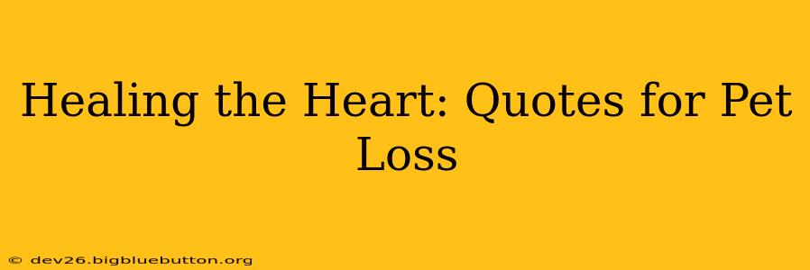 Healing the Heart: Quotes for Pet Loss