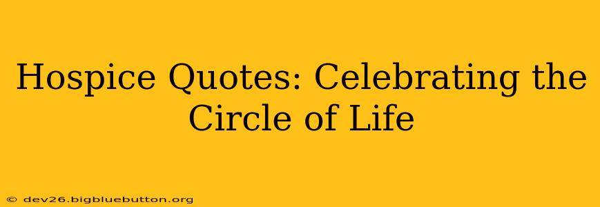 Hospice Quotes: Celebrating the Circle of Life