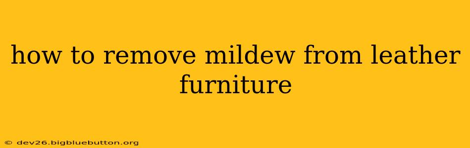 how to remove mildew from leather furniture
