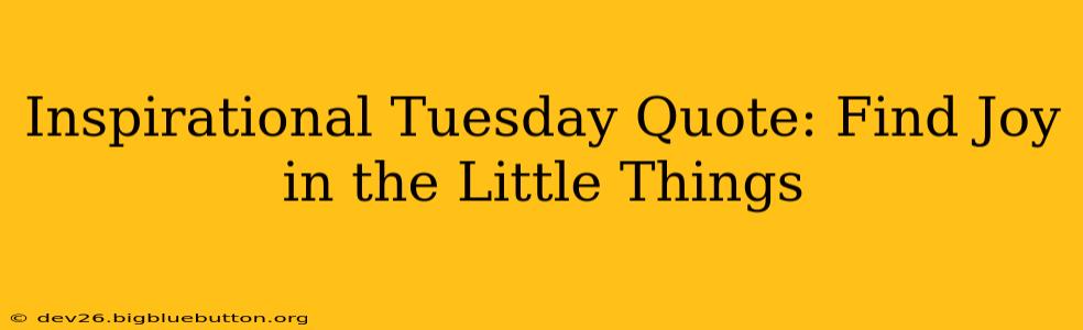 Inspirational Tuesday Quote: Find Joy in the Little Things