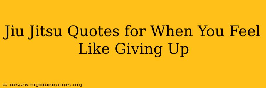 Jiu Jitsu Quotes for When You Feel Like Giving Up