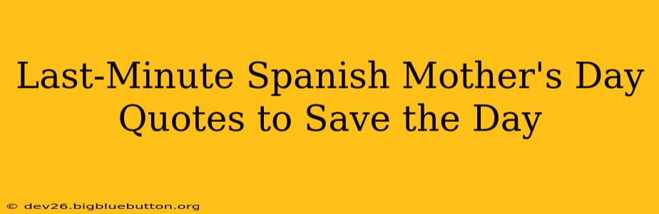 Last-Minute Spanish Mother's Day Quotes to Save the Day