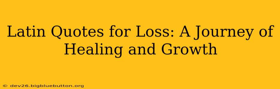 Latin Quotes for Loss: A Journey of Healing and Growth