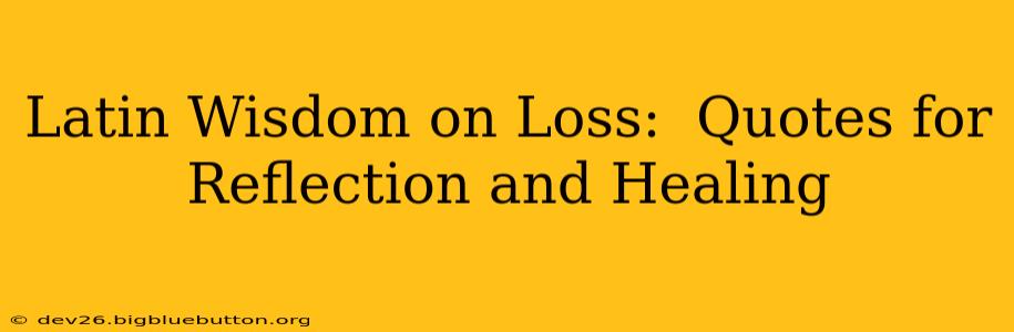 Latin Wisdom on Loss:  Quotes for Reflection and Healing