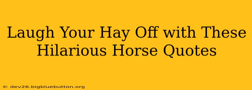 Laugh Your Hay Off with These Hilarious Horse Quotes
